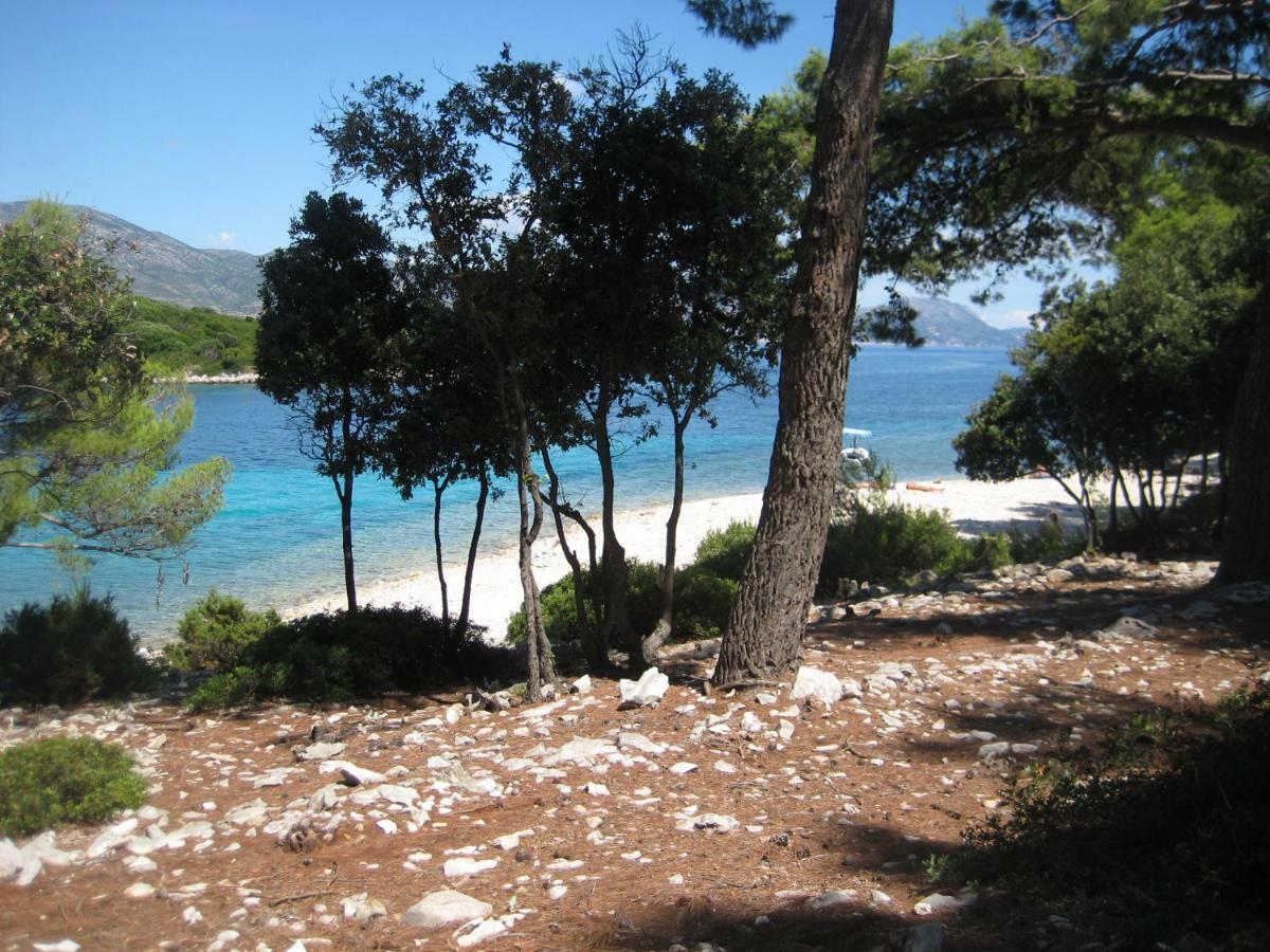 Apartment Korčula Eksteriør bilde